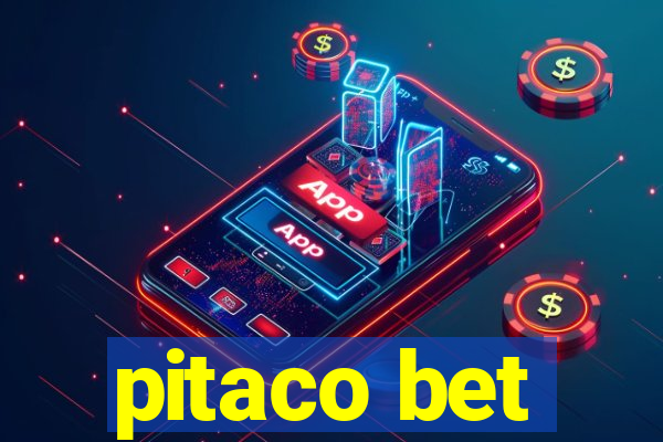 pitaco bet